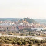 Angeles Alcañiz